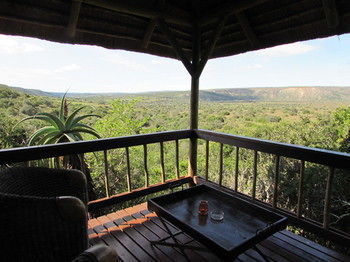 Woodbury Lodge Amakhala Game Reserve Εξωτερικό φωτογραφία