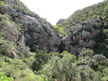 Woodbury Lodge Amakhala Game Reserve Εξωτερικό φωτογραφία